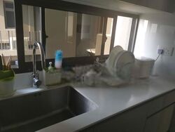 The Clement Canopy (D5), Apartment #403813321